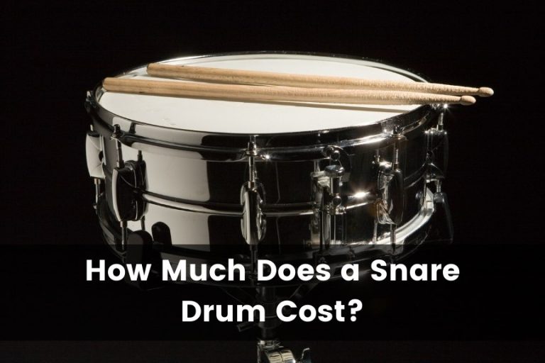 How Much Does A Snare Drum Cost?