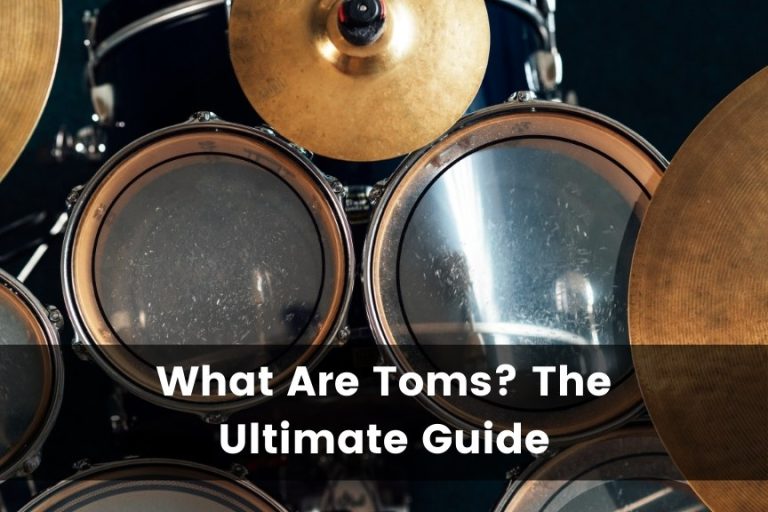 What Are Toms? The Ultimate Guide to Tom-Tom Drums
